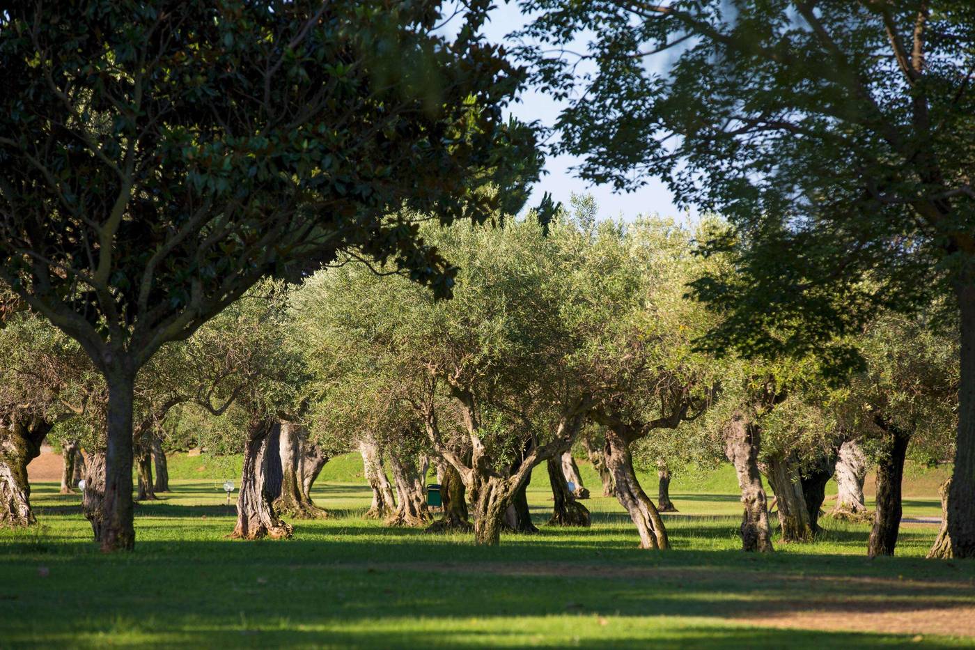 MClub-Lipari-Sports-and-Entertainment-8