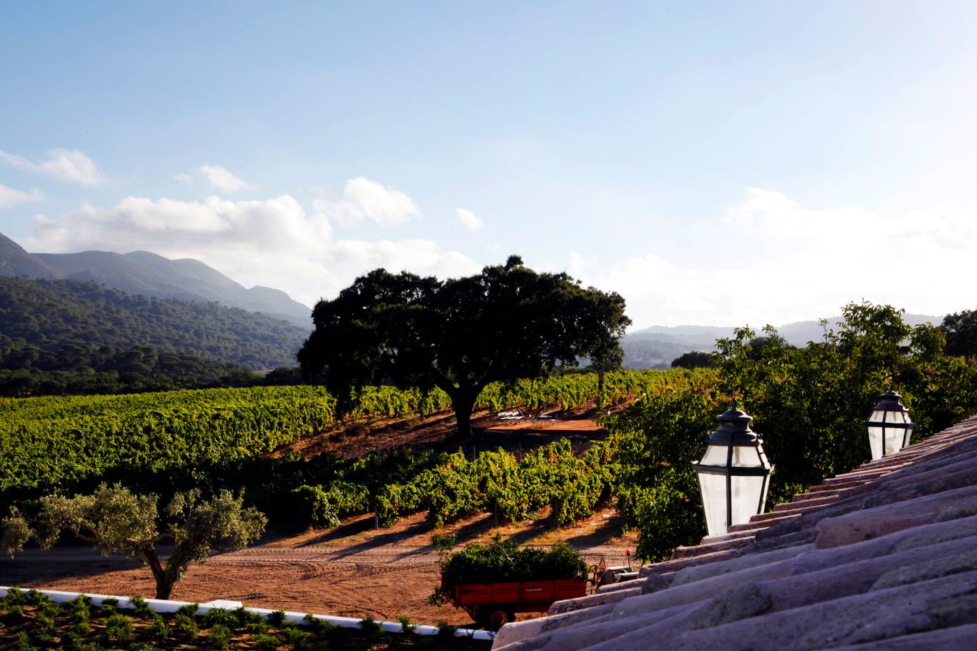 Casa-Palmela---Small-Luxury-Hotels---Villas-General-view-102