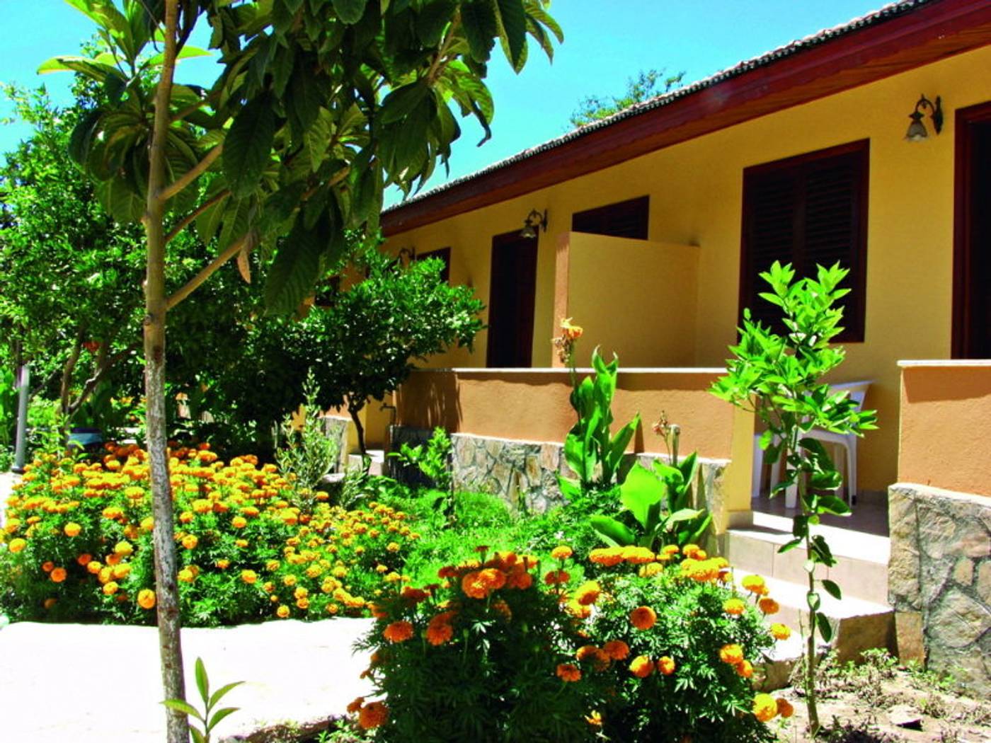 Ozlem-Garden-General-view-4