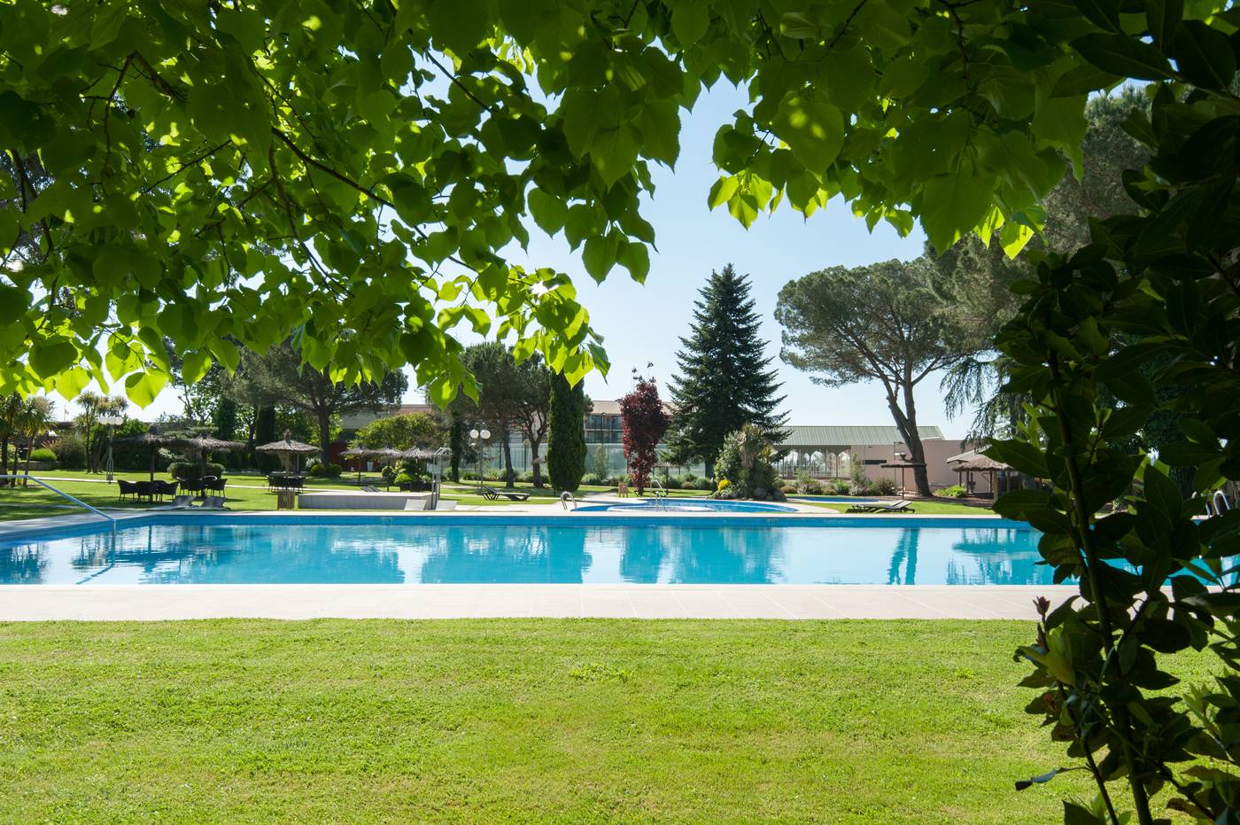 Mas-Sola-Pool-1