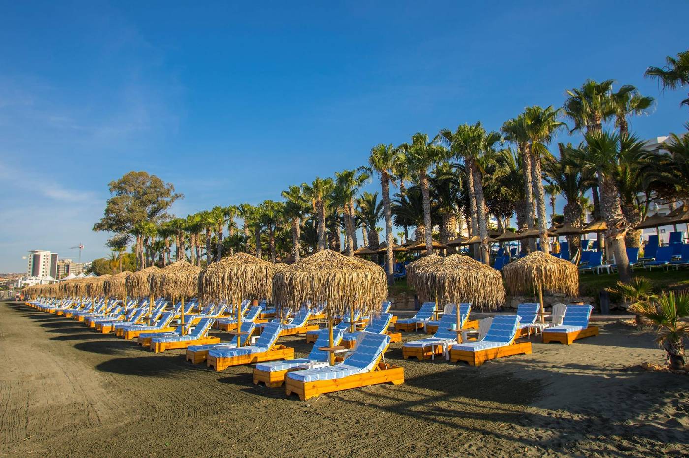 The-GrandResort-Limassol-Cyprus-by-Leonardo-Hotels-Beach-74