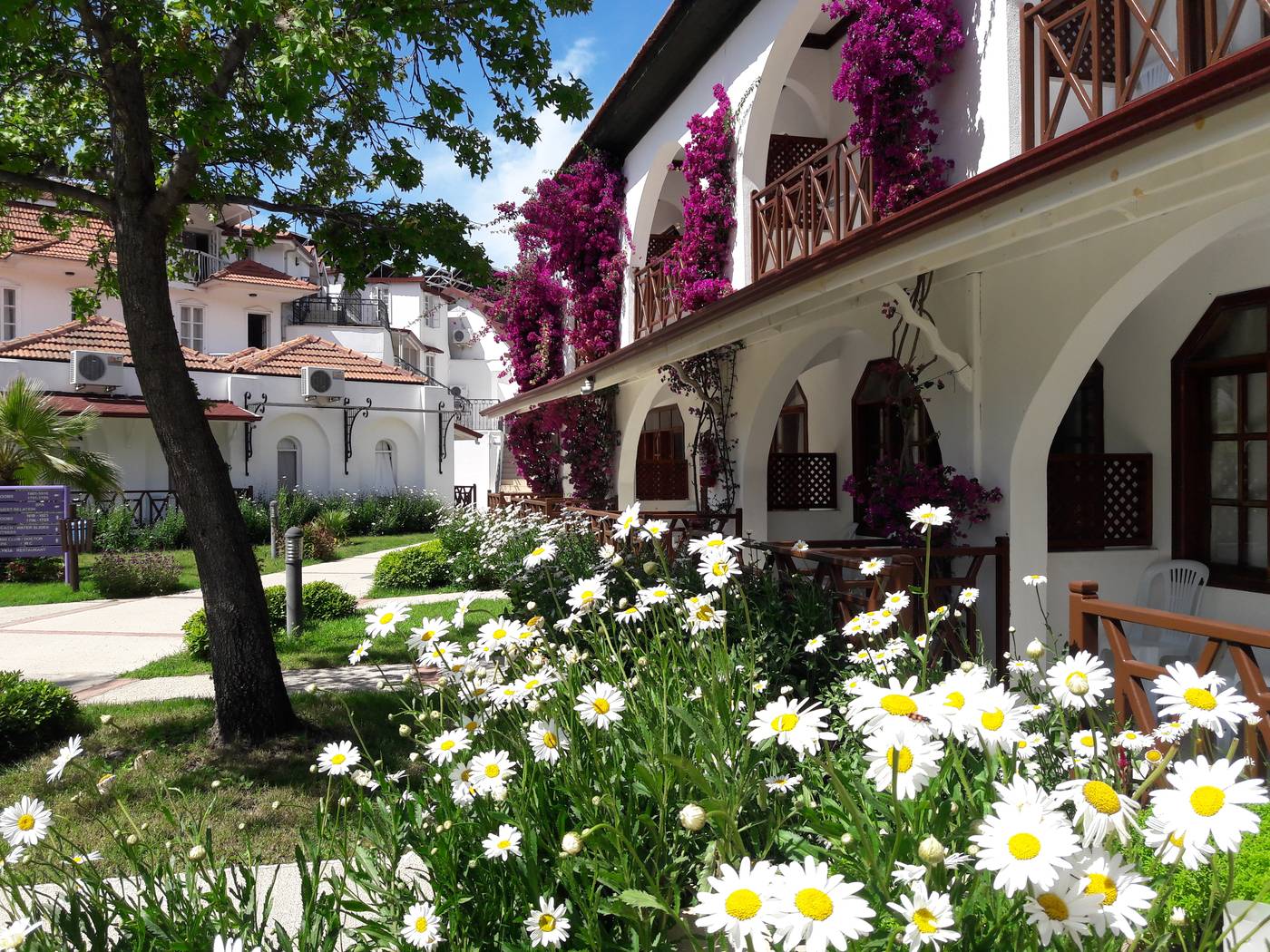Lykia-Botanika-Beach---Fun-Club-General-view-17