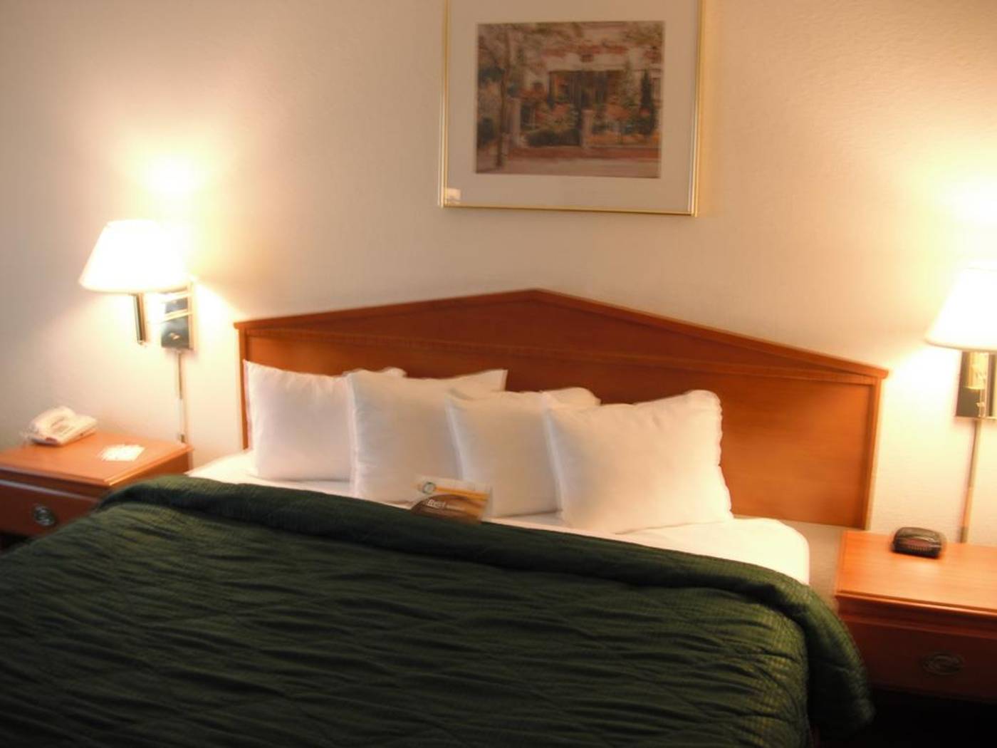 Quality Inn Northlake-United States-ATLANTA-General view-7