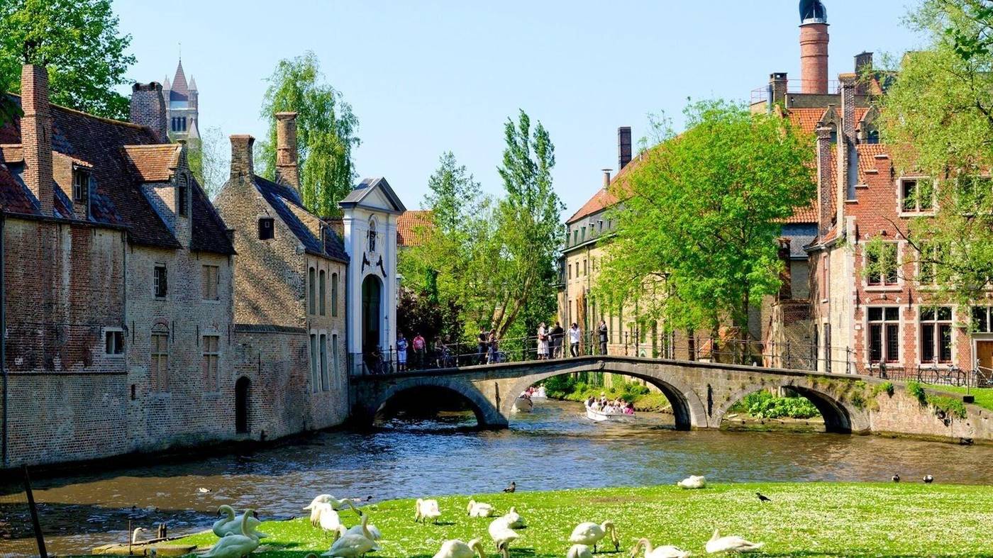 Stee23-Belgium-OOSTKAMP-General view-8