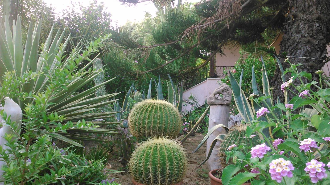 Baha-Ammes-General-view-14