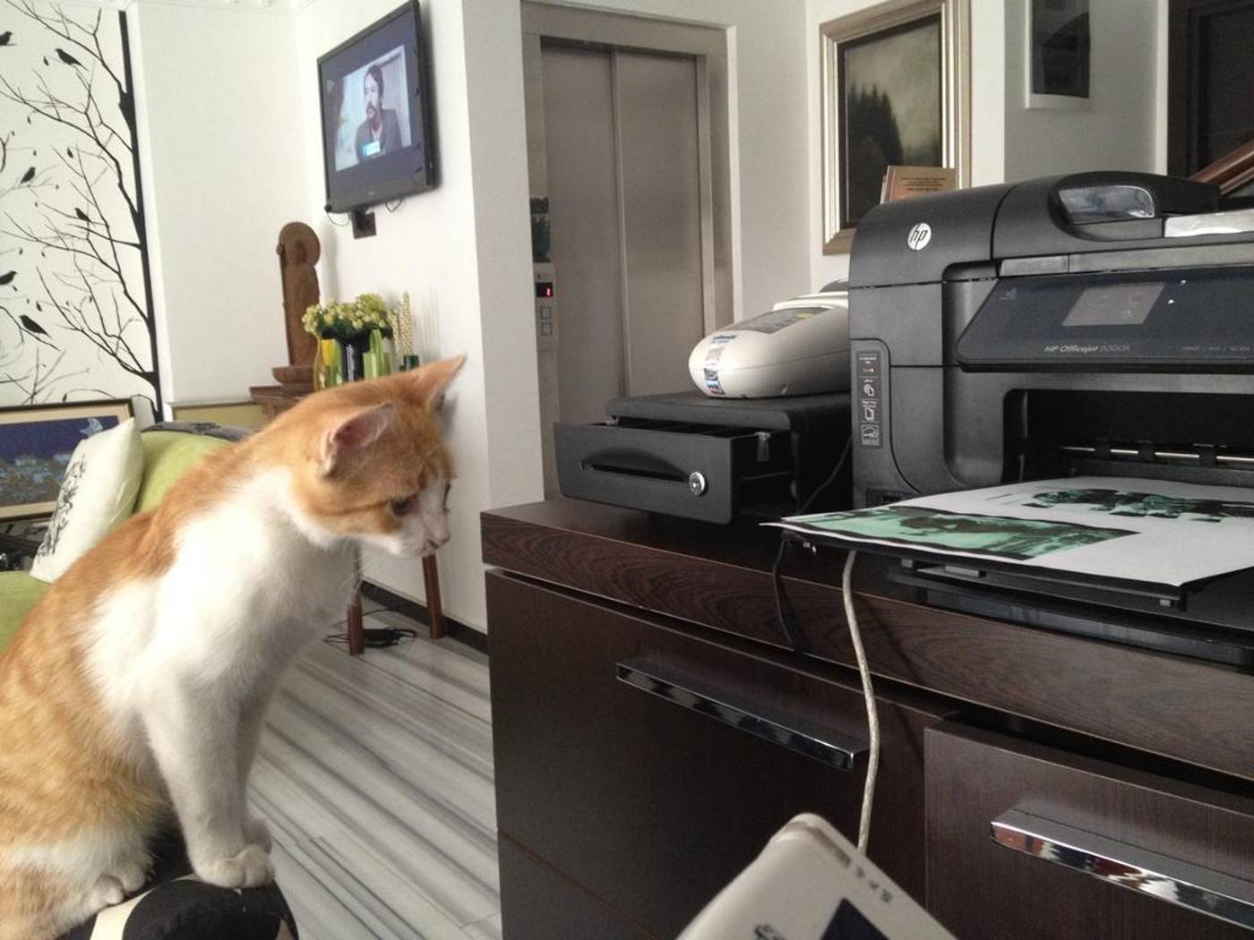 Kumru Hotel-Turkey-Istanbul-Lobby-3