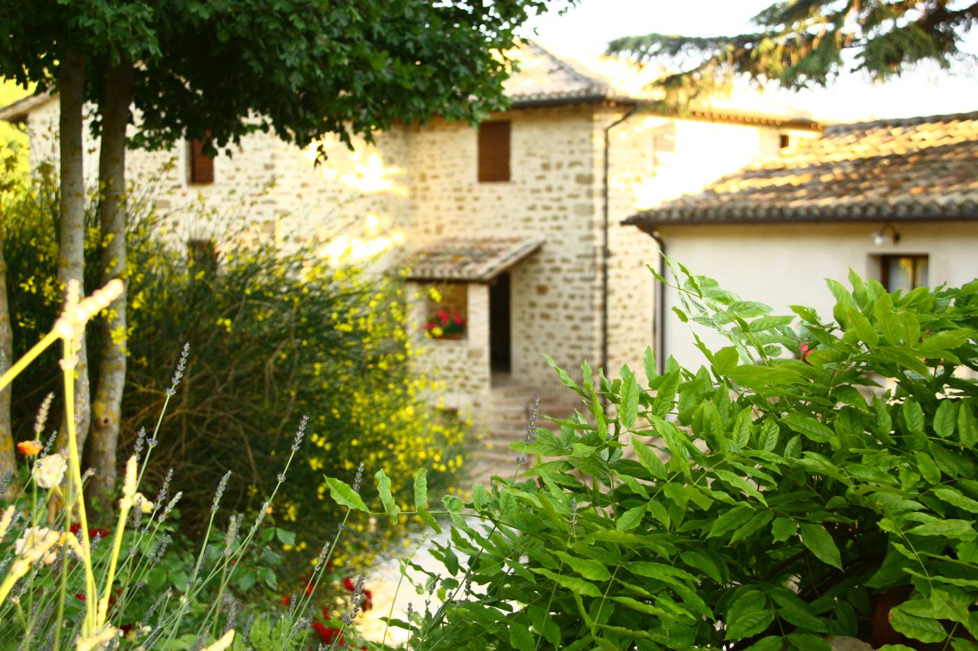 Tavola dei Cavalieri Il Borgo-Italy-ASSISI-General view-10