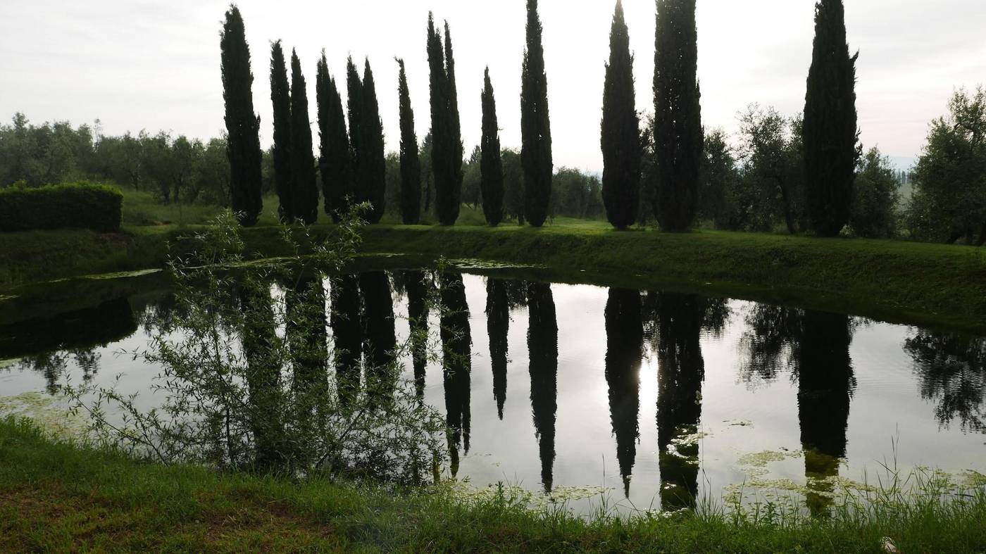 CA-Bianca-General-view-44