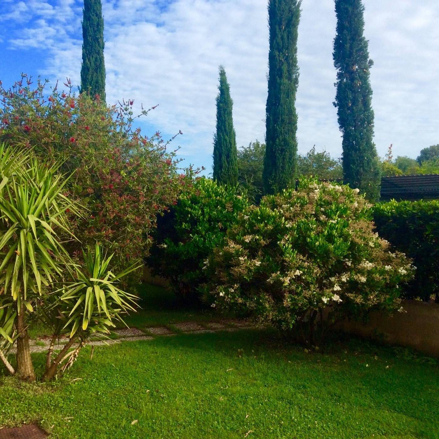 B-B-Monte-Di-Bu-General-view-4