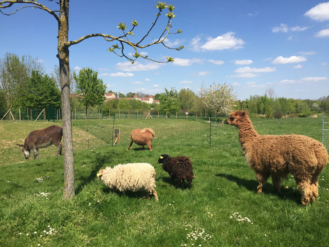 Campanile-Val-de-France-Ex-Kyriad-Disneyland-Sports-and-Entertainment-64