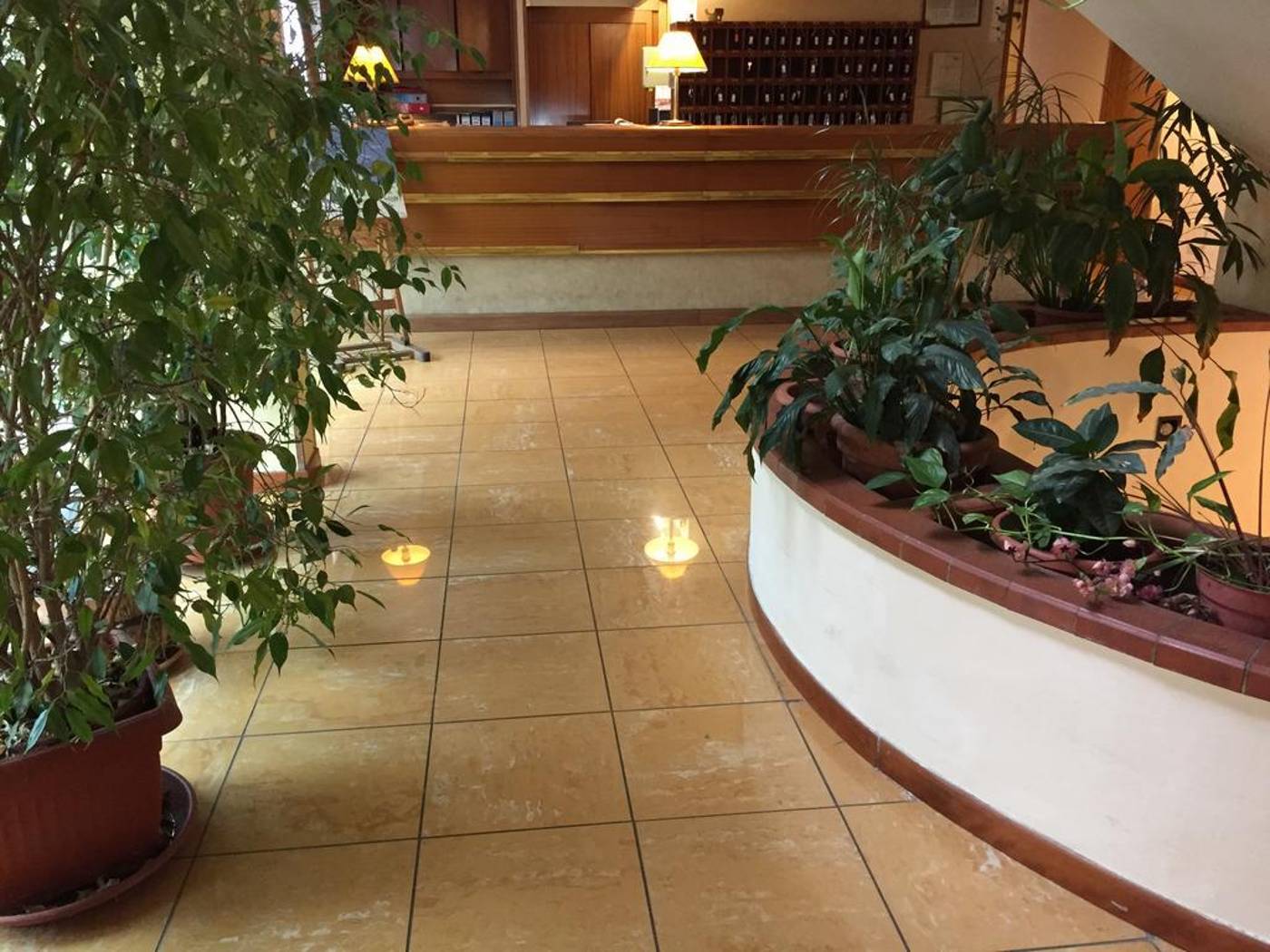 Albatros-General-view-14