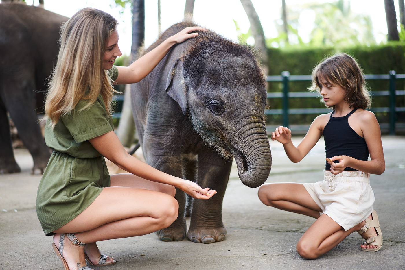 Mason Elephant Park and Lodge Gianyar Bali-Indonesia-UBUD-General view-5