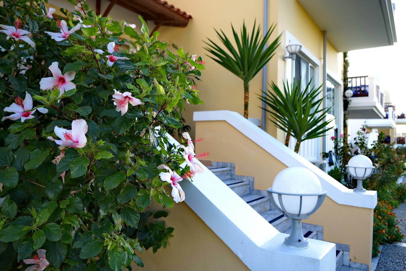 Aegean-Houses-General-view-17