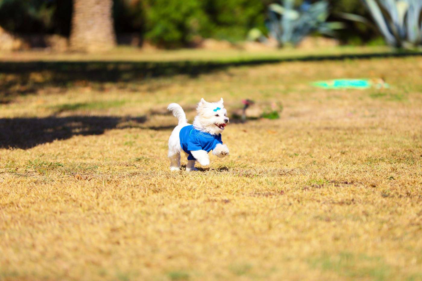 Club-Resort-Atlantis-General-view-67