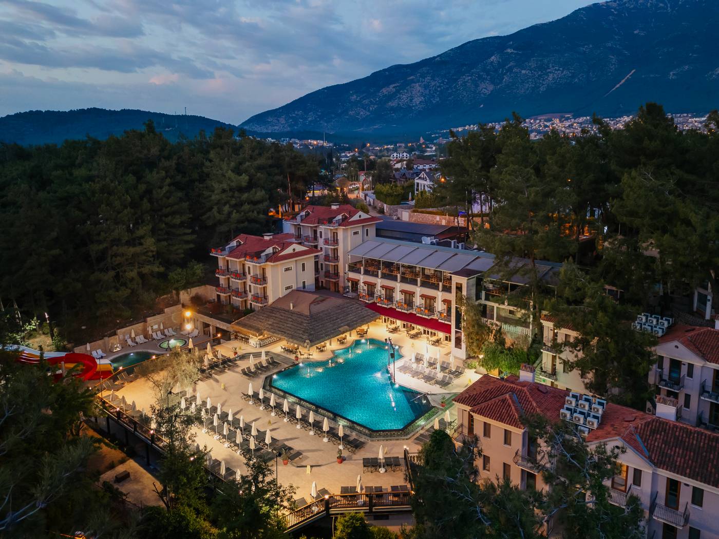 Bird Eye View in the Evening.jpg