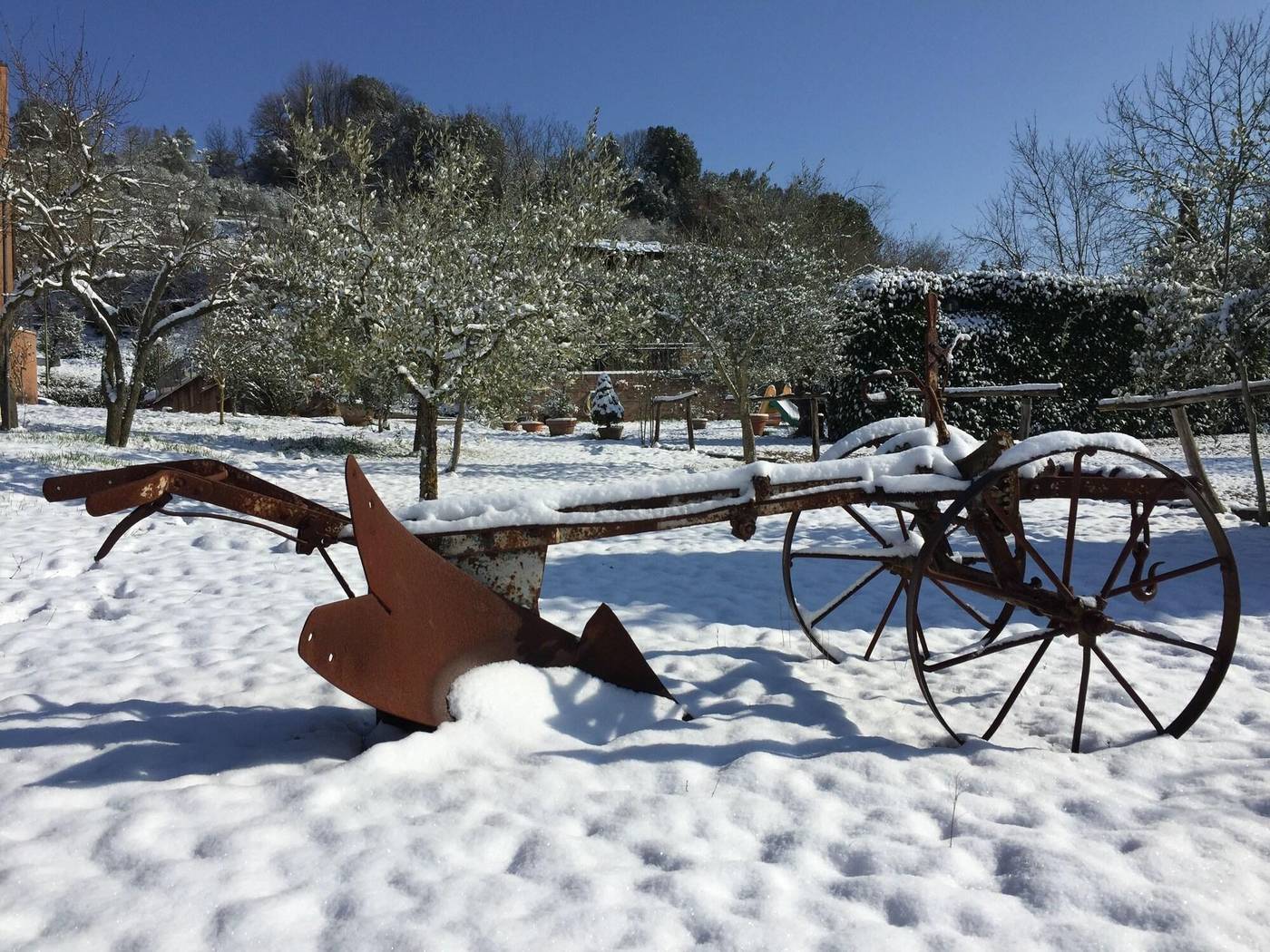 Podere-Il-Pero-General-view-7