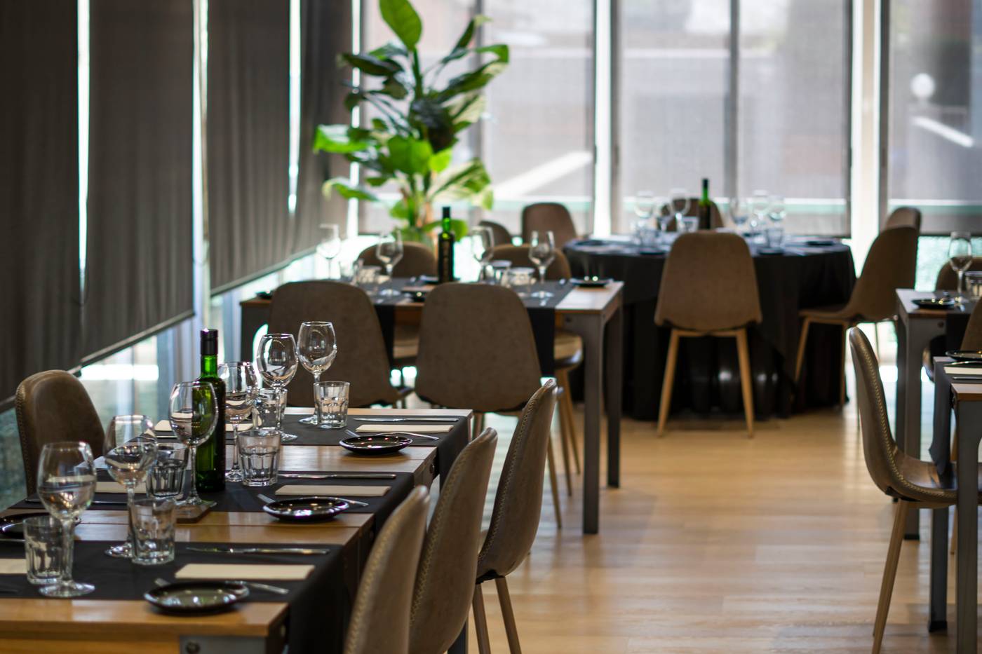 Zenit-Conde-de-Orgaz-Restaurant-30