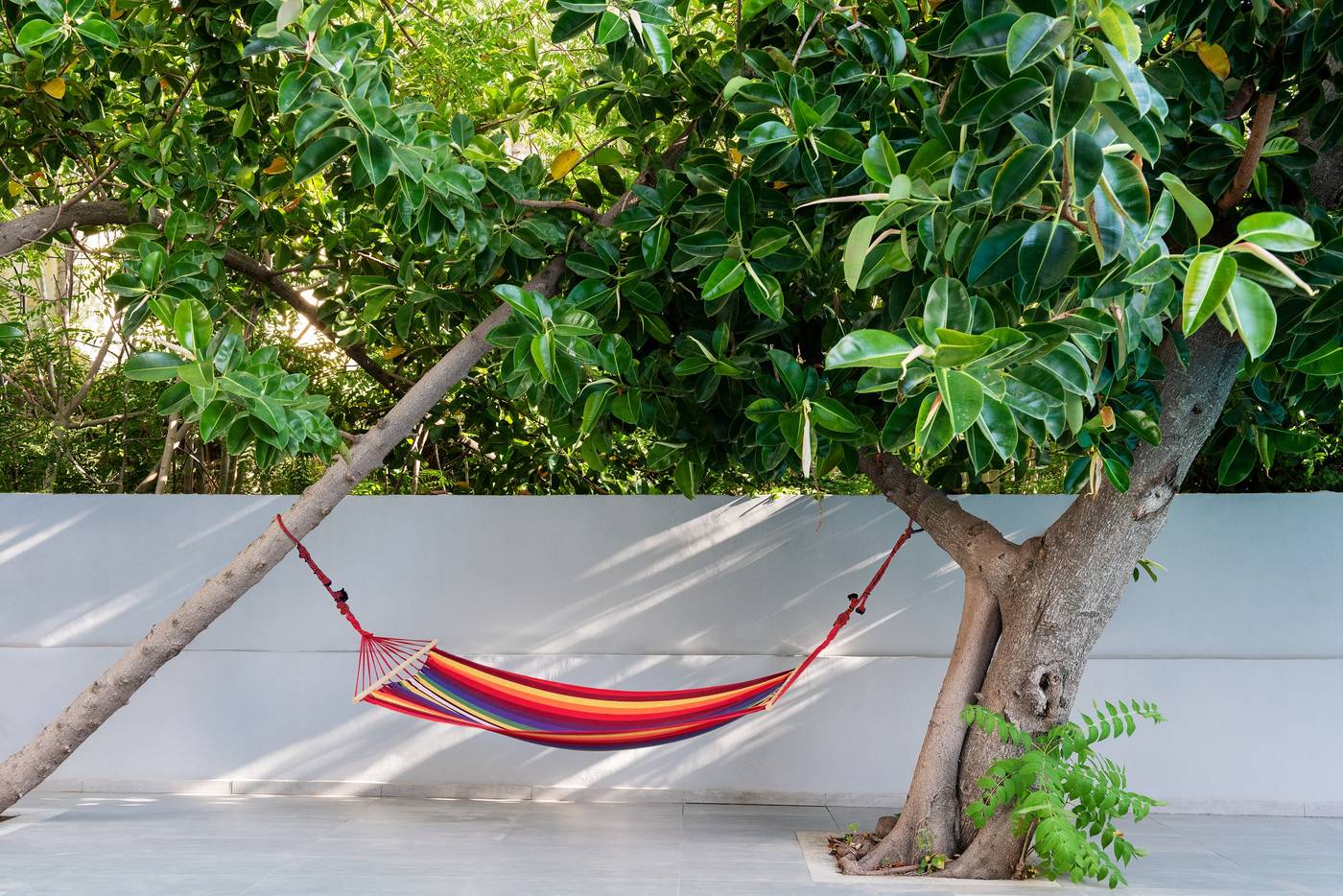 Oktober-Downtown-Boutique-Hotel-Pool-37