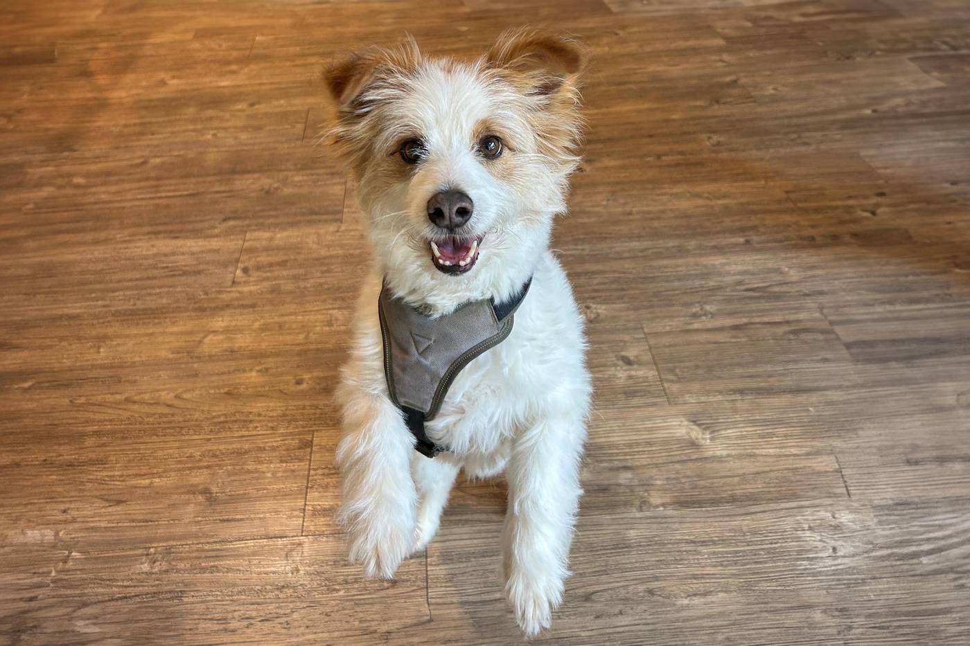 Holiday Inn - The Niu, Leo Nuremberg-Germany-Nuremberg-Lobby-10