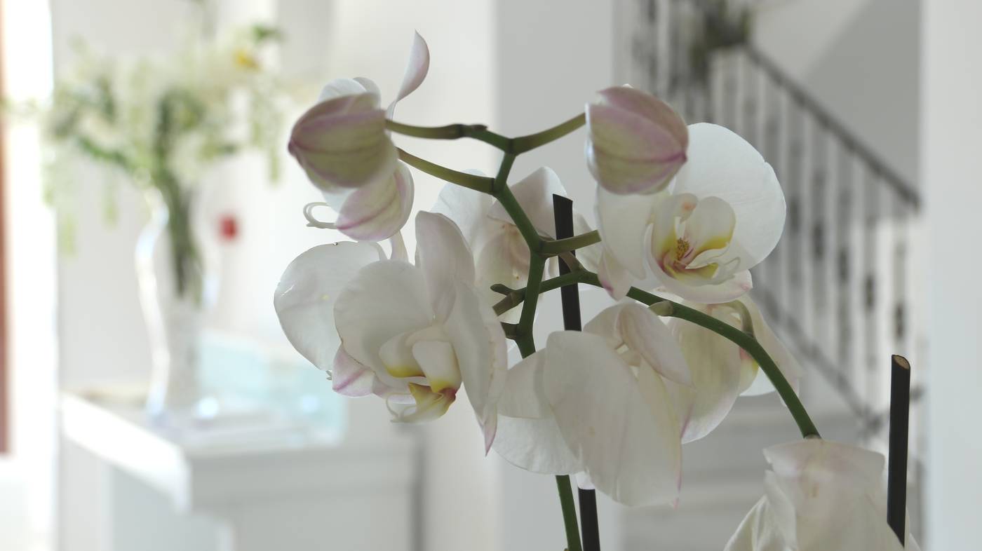 Astro-Palace-Hotel-Lobby-37