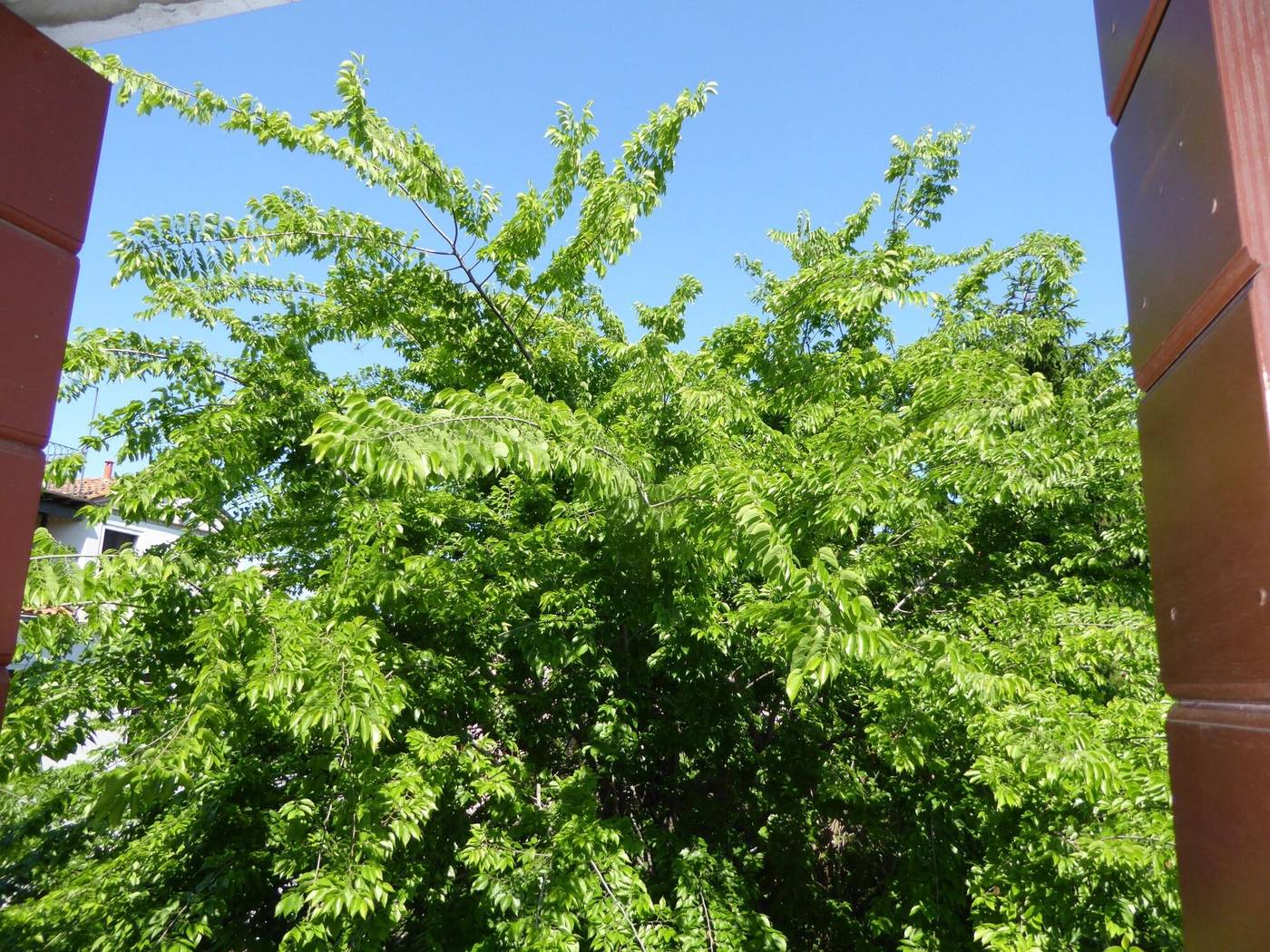 B-B-Vista-sul-Canal-Grande-Room-8