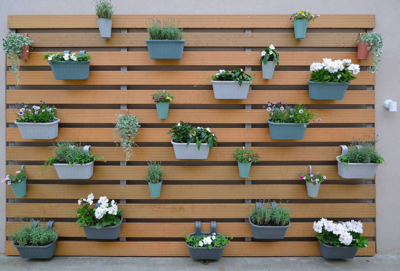 Garni hotel D10-Serbia-ZEMUN-General view-4