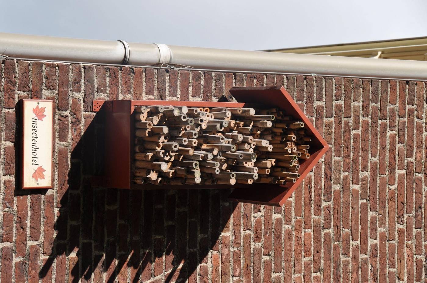 Hotel De Plataan Delft Centrum-Netherlands-DELFT-General view-5