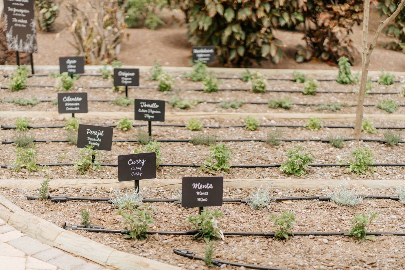 R2-Rio-Calma-Hotel-General-view-54