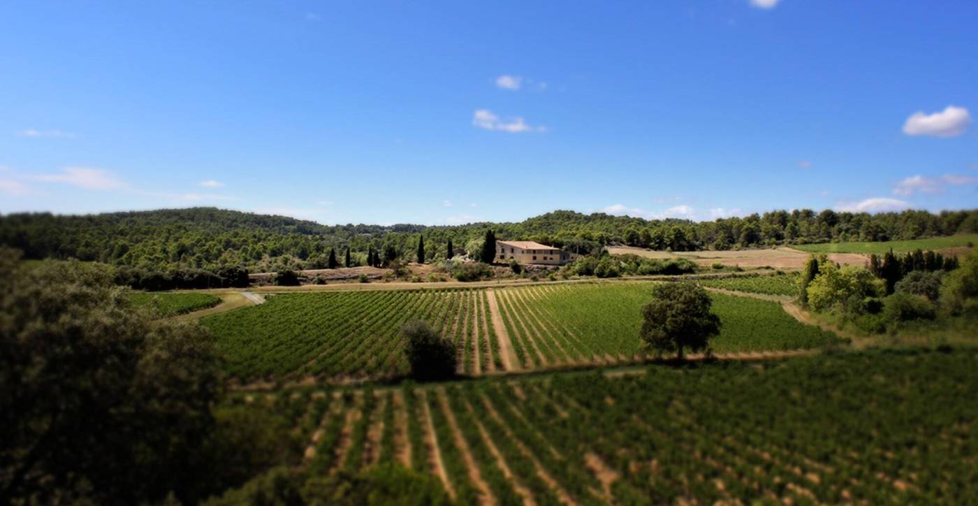 Domaine De Palatz-France-LAURE-MINERVOIS-General view-2
