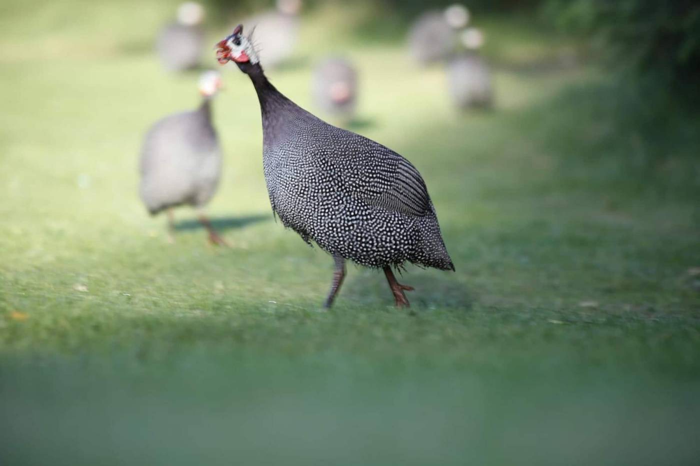 Woudschoten Hotel & Conferentiecentrum-Netherlands-ZEIST-General view-3