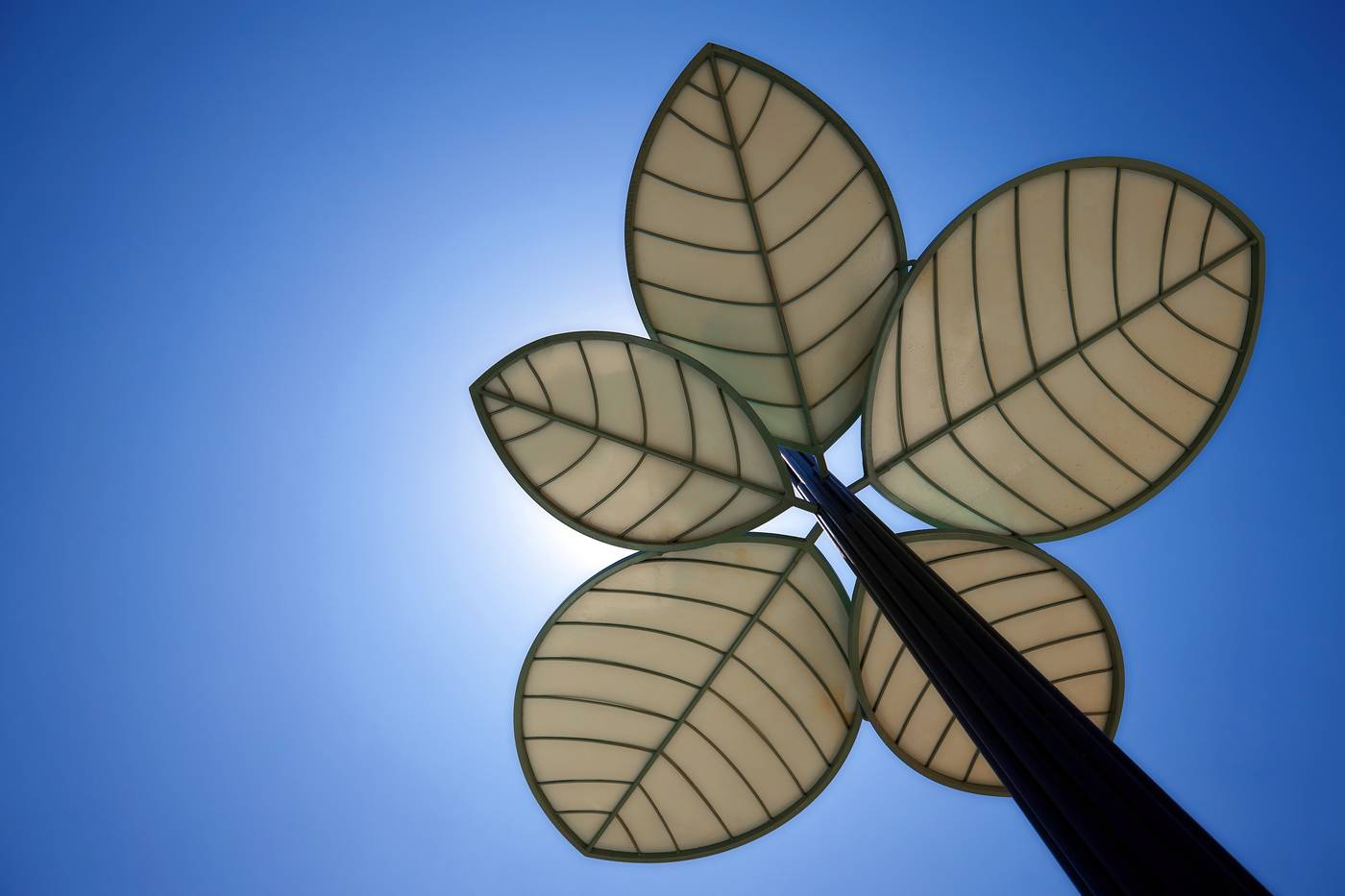 Arminda-Hotel-General-view-45