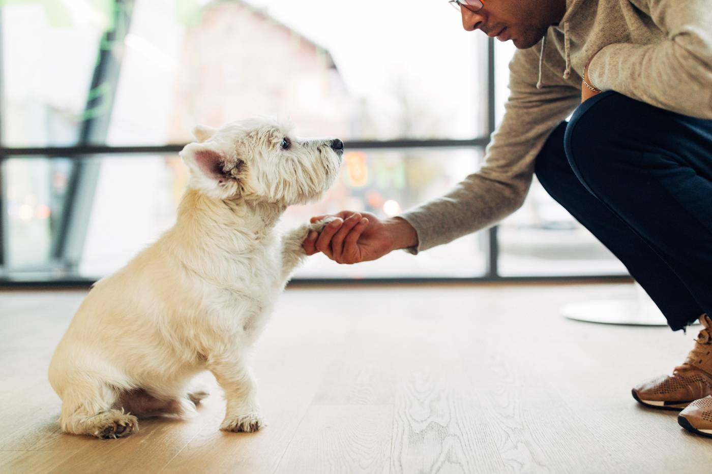 Harry-s-Home-Hotel-M-nchen-General-view-9