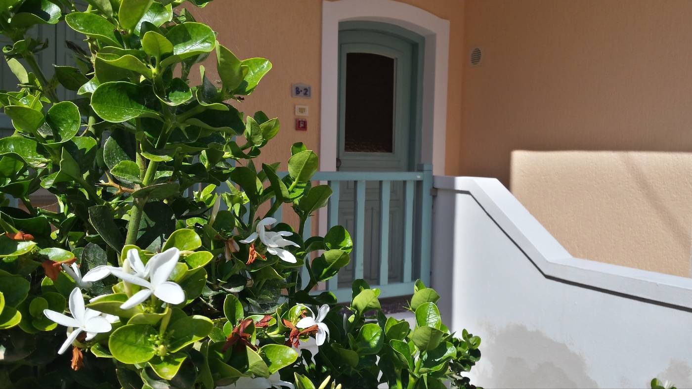 Amazones-Village-Suites-Room-11