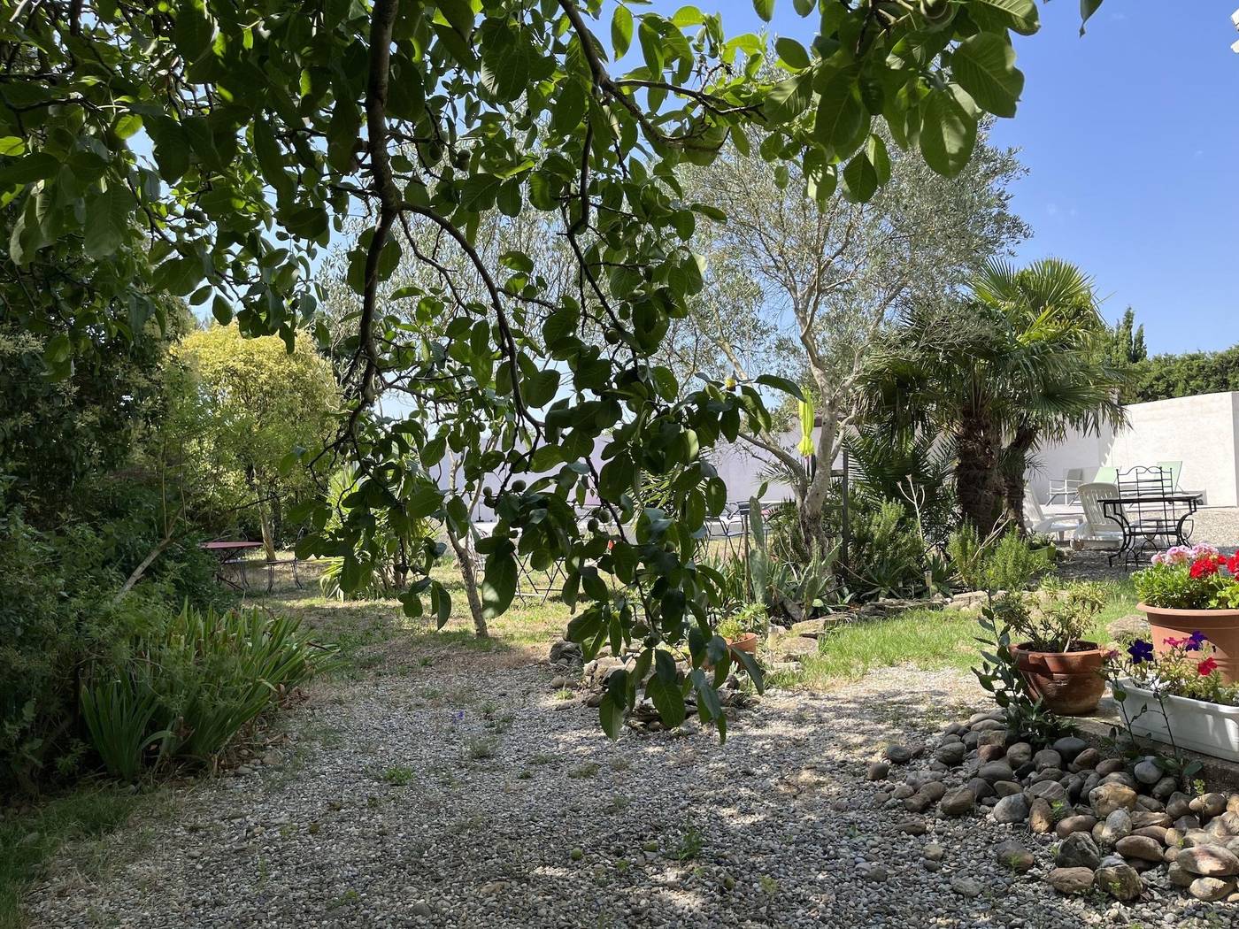 Aux Belles Vacances B B Only Adults-France-Caux-et-Sauzens-General view-1