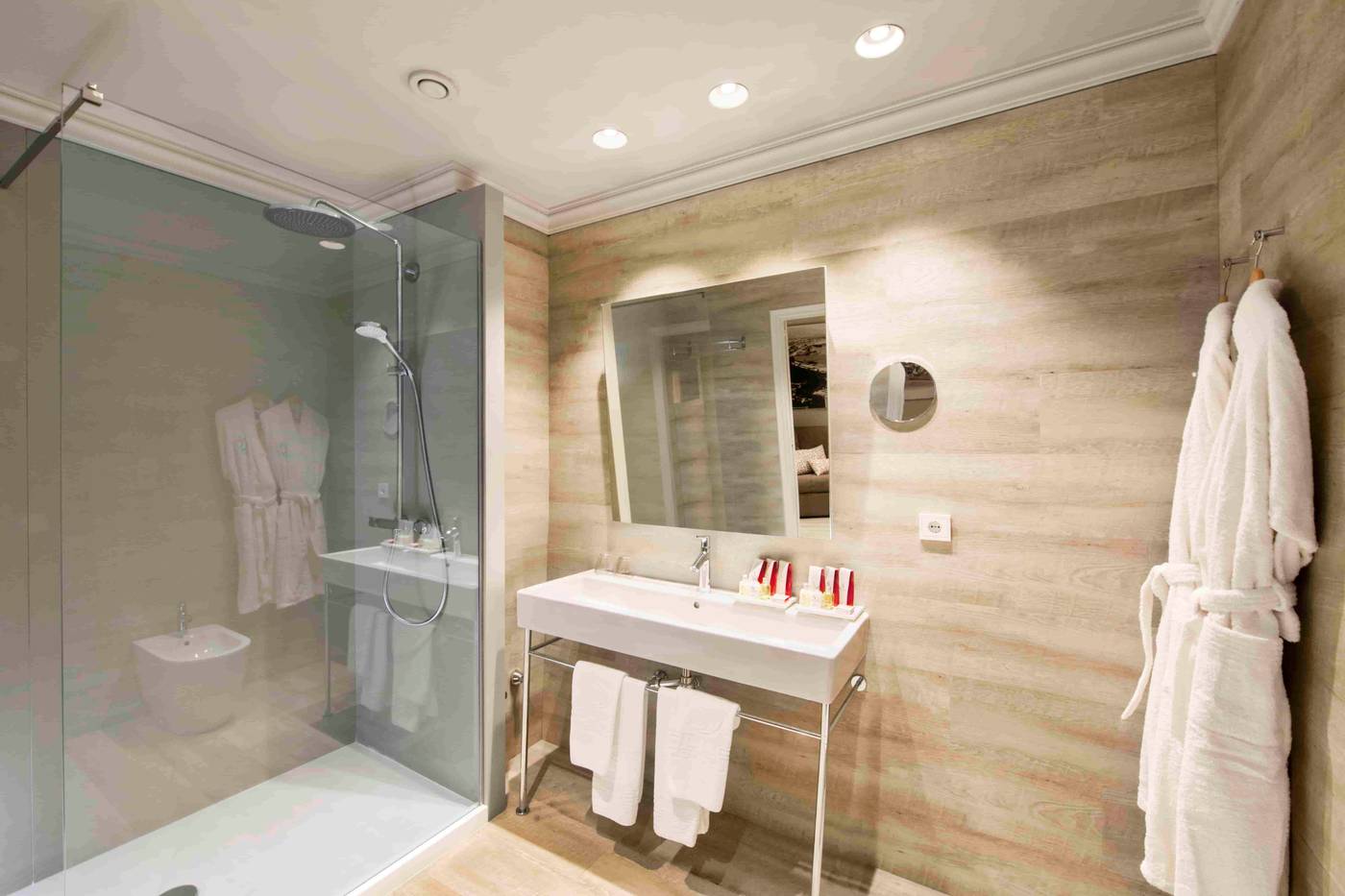 Salles-Malaga-Centro-Room-37