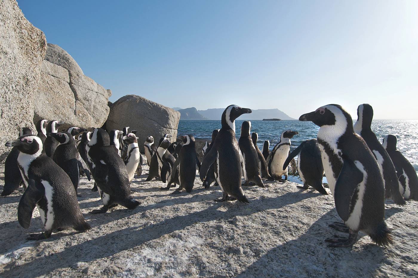 Colona-Castle-Sports-and-Entertainment-29