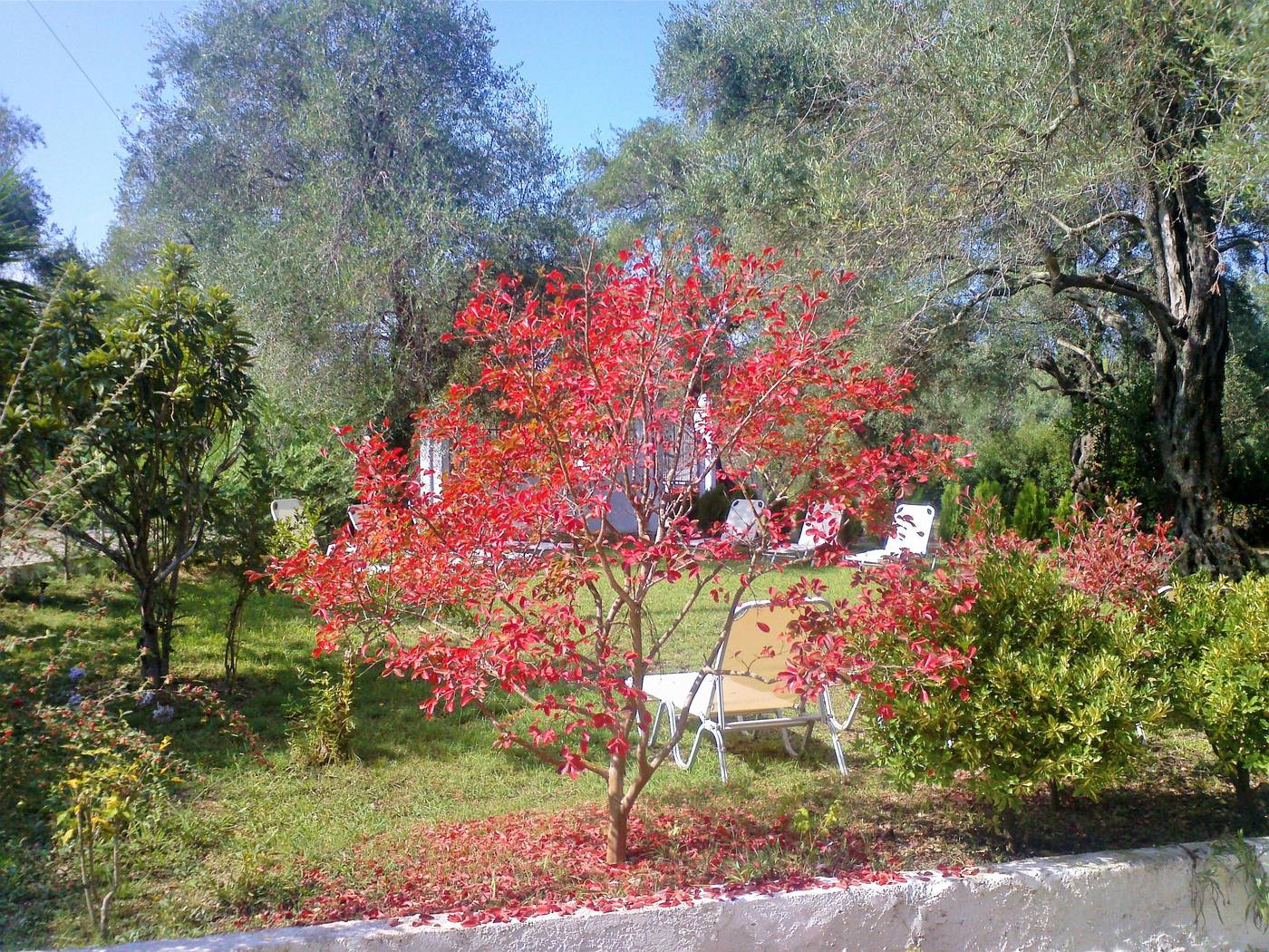 Marilena-Apartmets---Studios-General-view-29