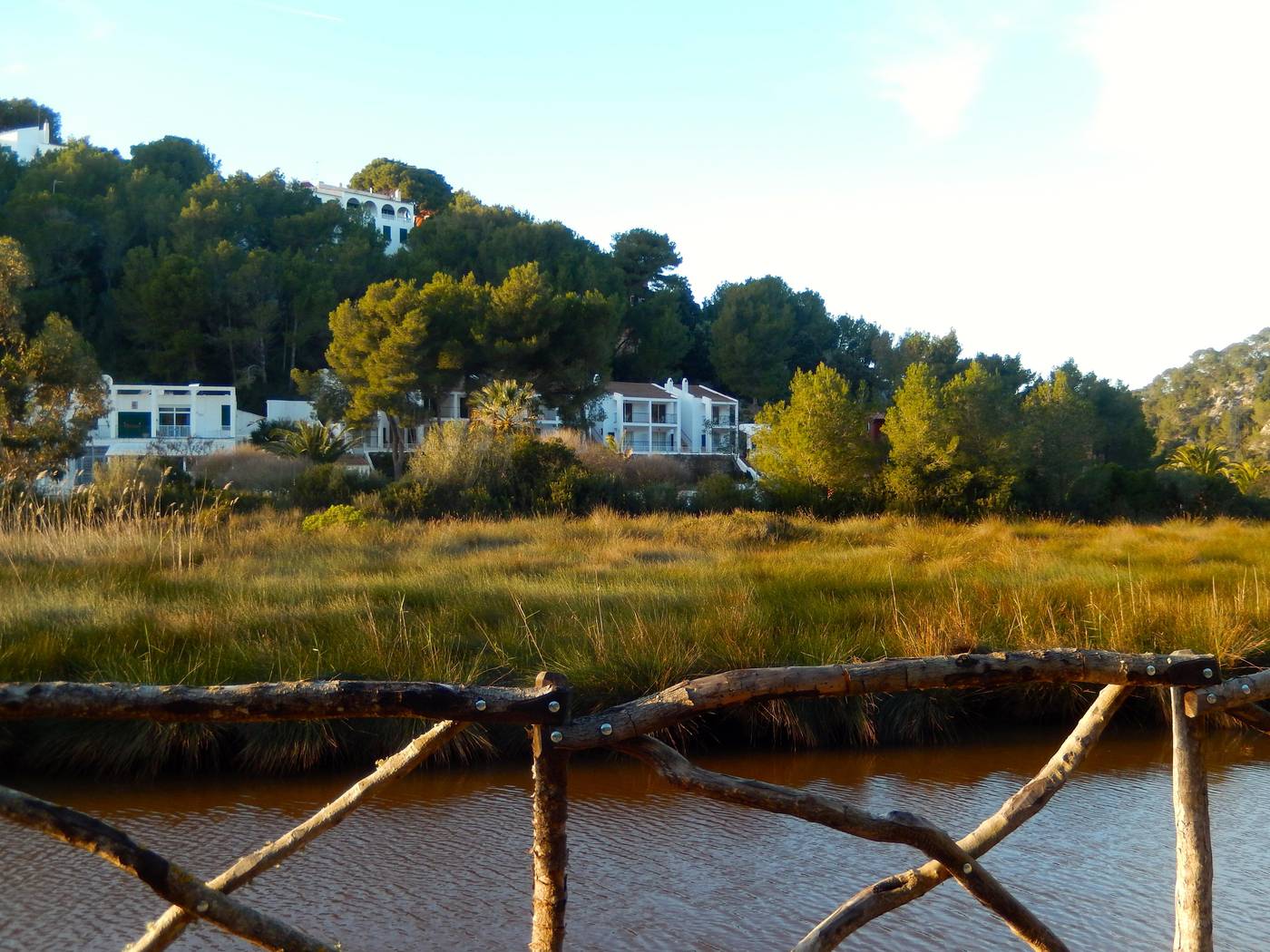 Desmais-General-view-58