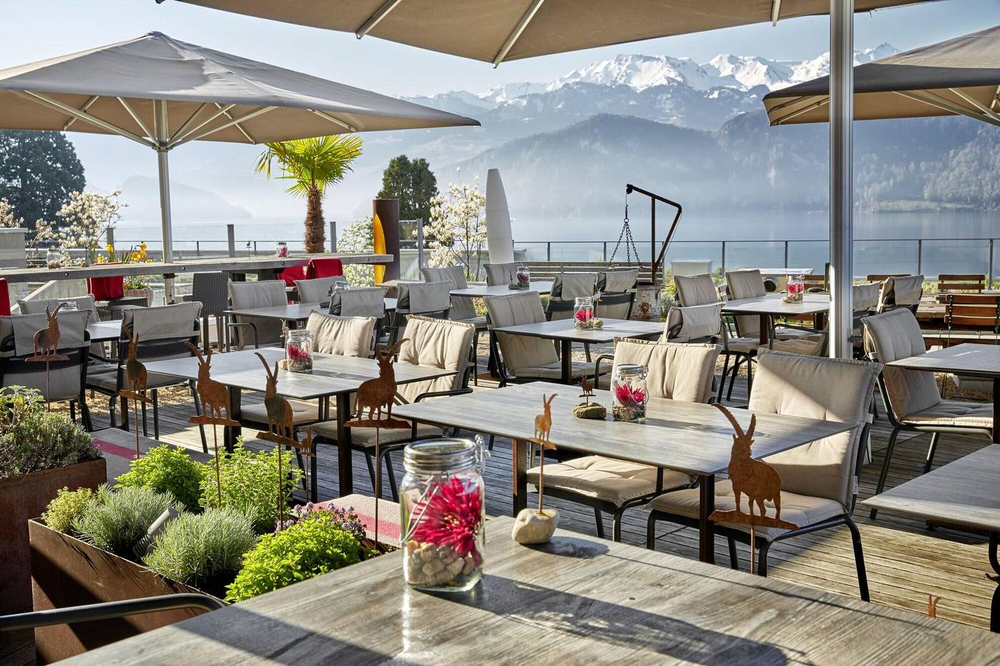 Hotel Alpenblick-Switzerland-WEGGIS -General view-1