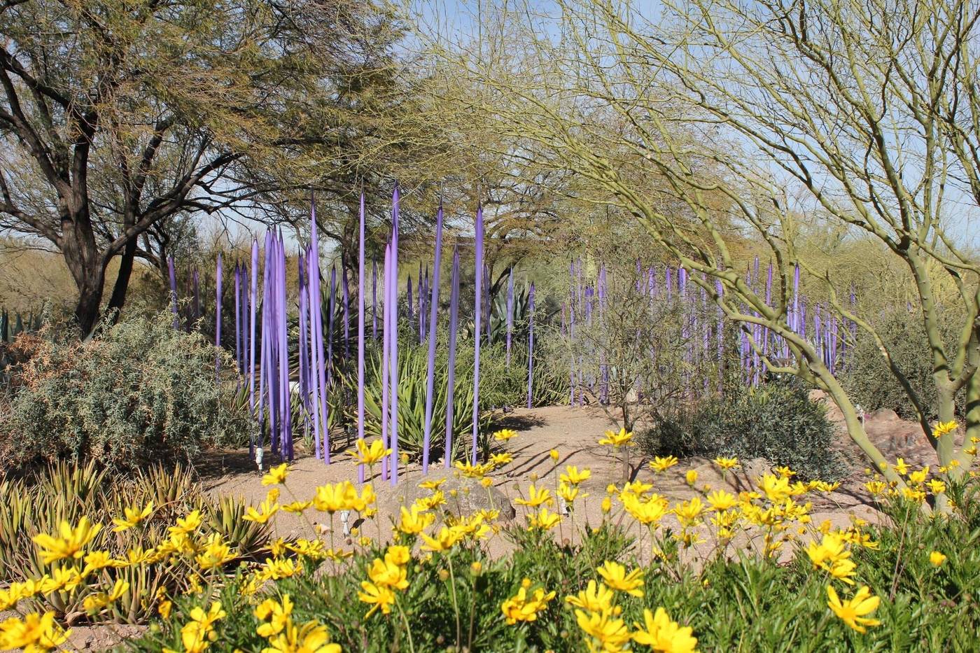 The Canyon Suites At The Phoenician, Luxury Collec-United States-Scottsdale-General view-6