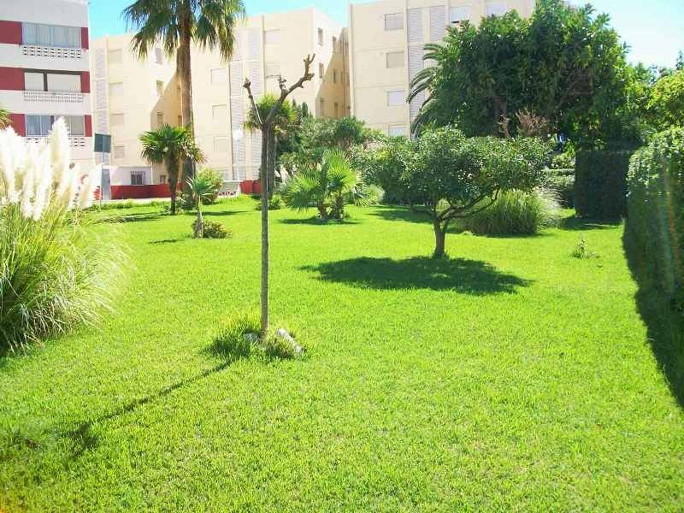 Don-Chimo-Danio-General-view-5