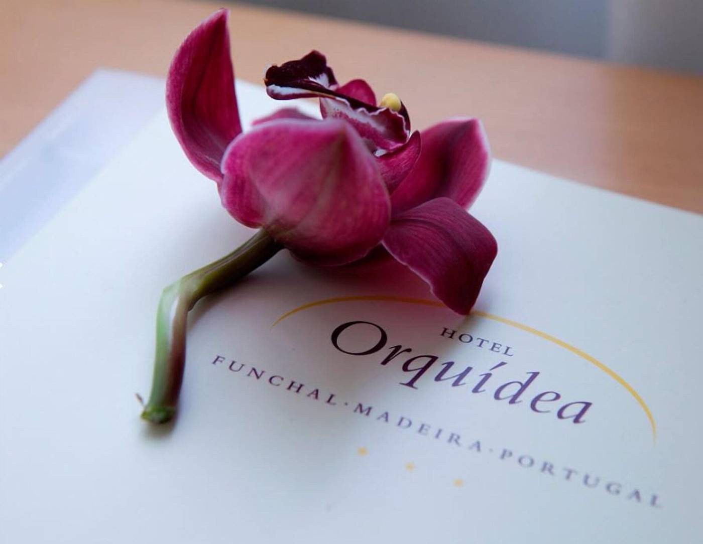 Orquidea-Room-20