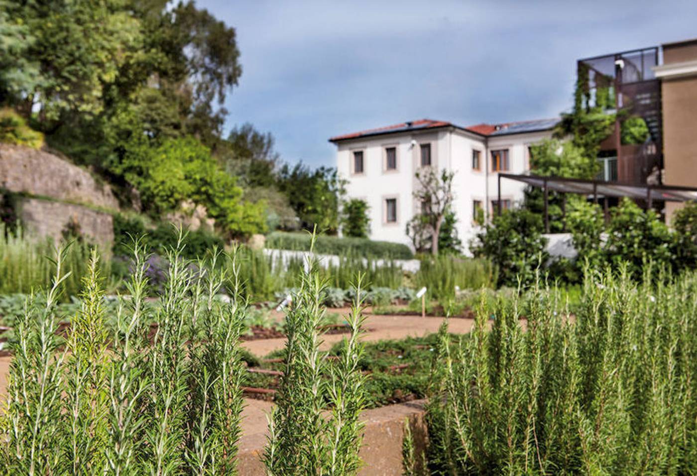 Il-Cantico-ST-Peter-General-view-29