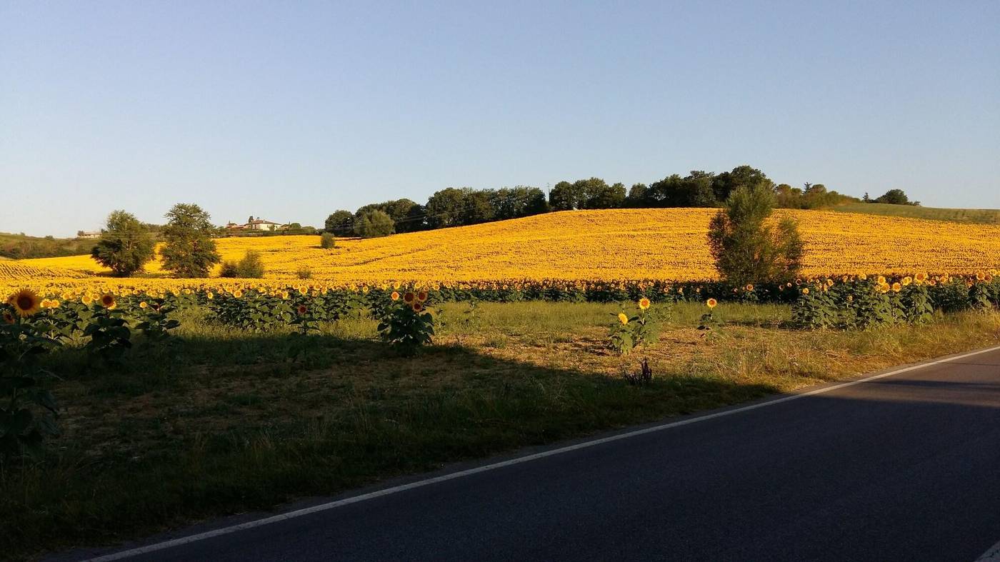 Hotel-1000-Miglia-General-view-3
