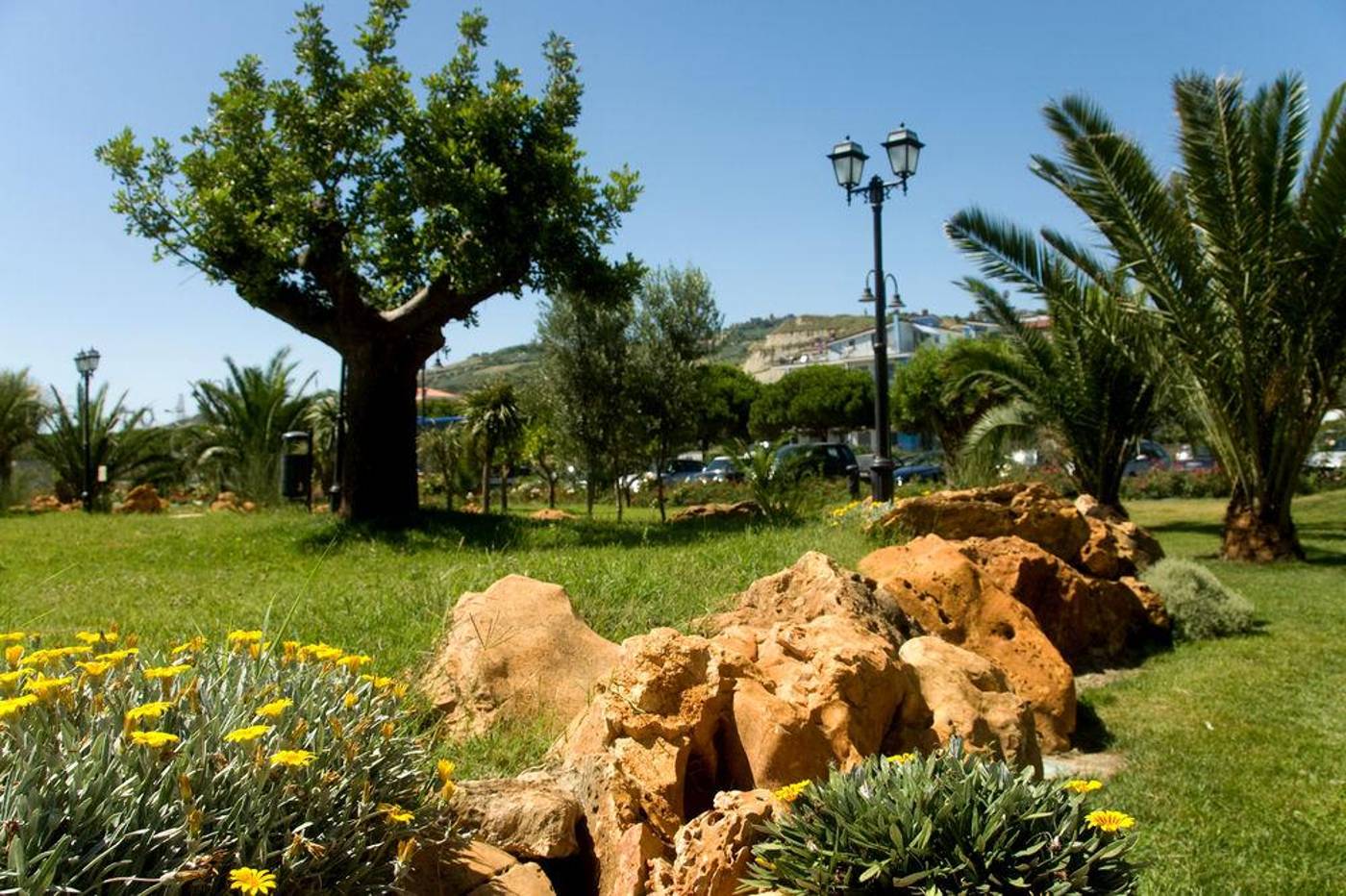 Roses-General-view-13