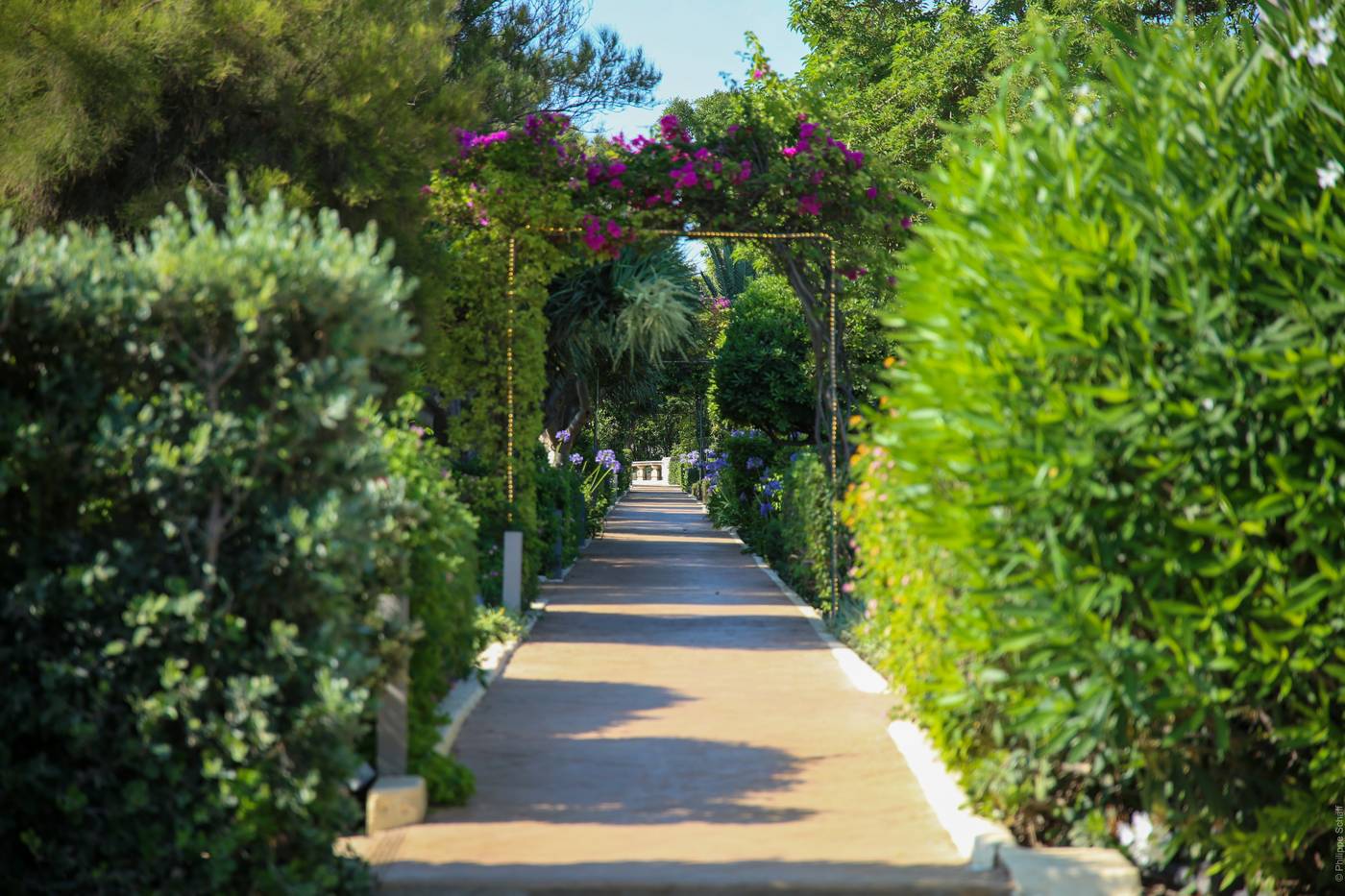 Hotel-Phoenicia-Sports-and-Entertainment-16