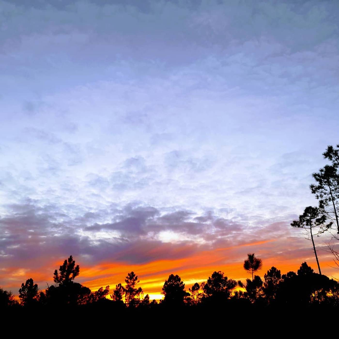 Sublime-Sun-and-Van-by-Meco-Stays-General-view-31