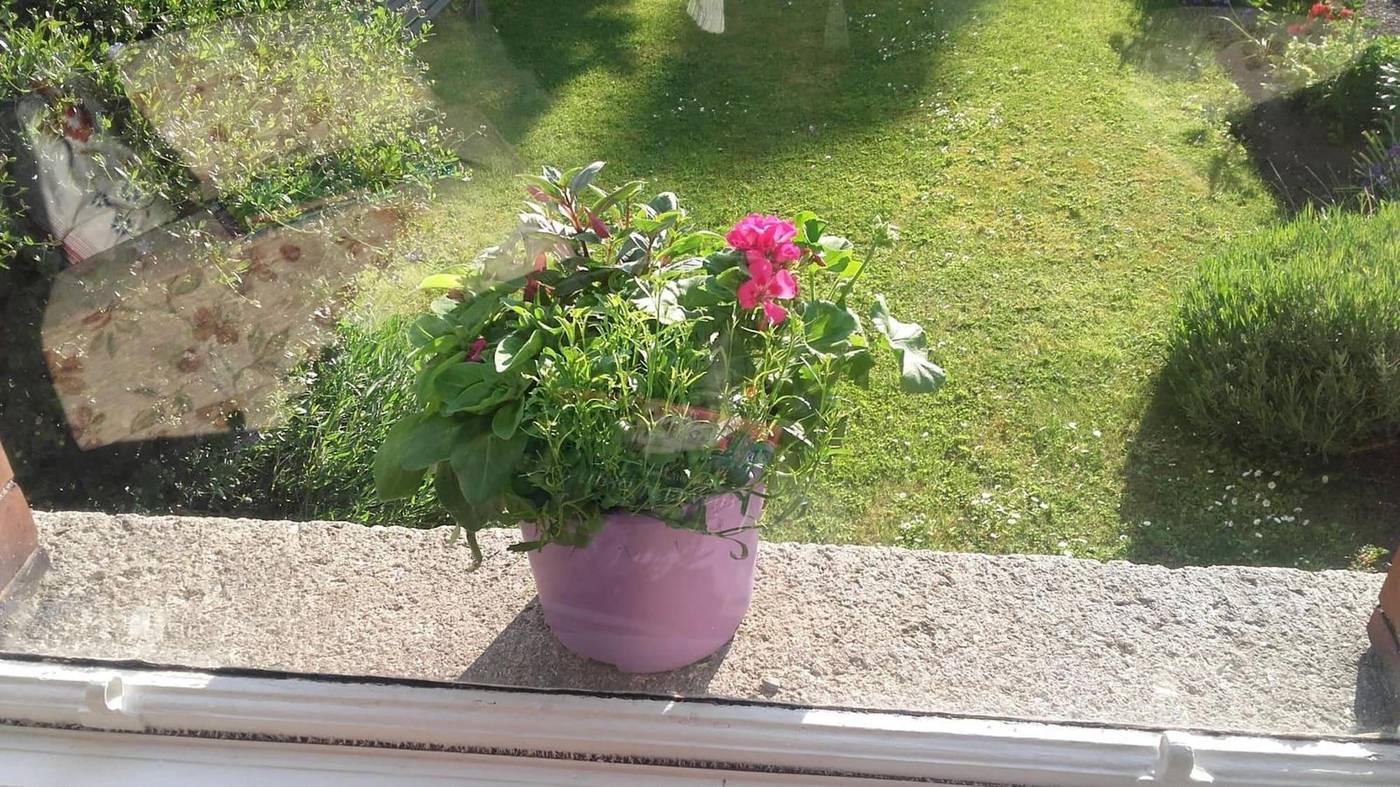 St. Aiden's Guesthouse-Ireland-DUBLIN-General view-6