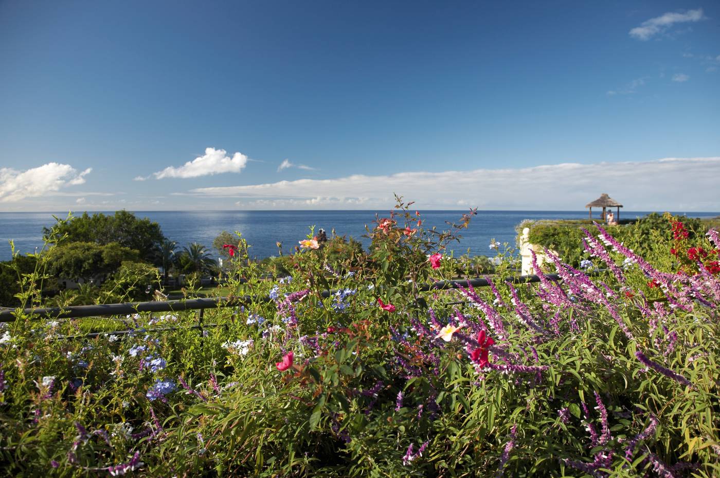 The Residence Porto Mare-Portugal-Funchal Madeira-General view-6