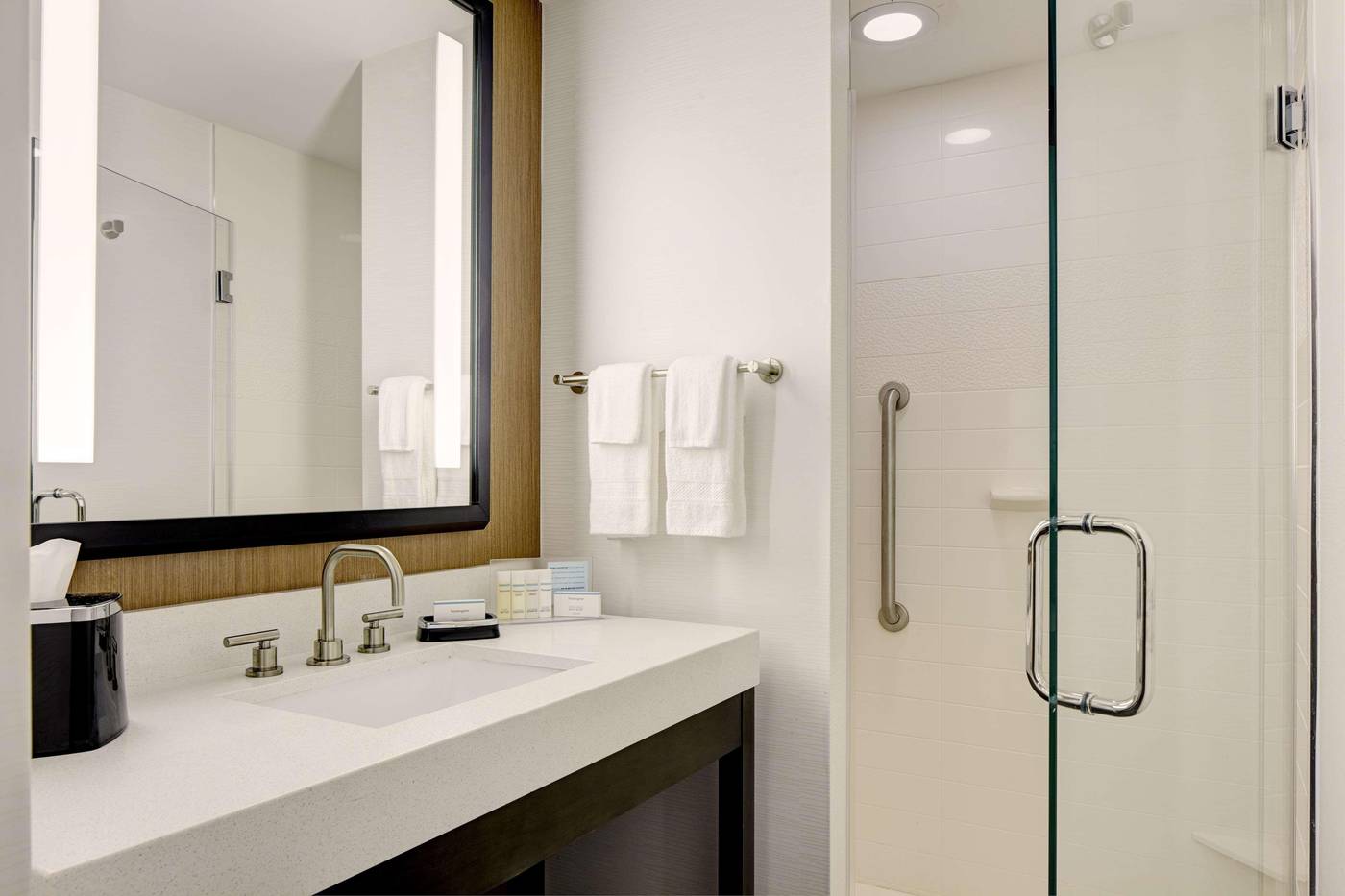 Hampton-Inn-Brooklyn-Downtown-Room-22